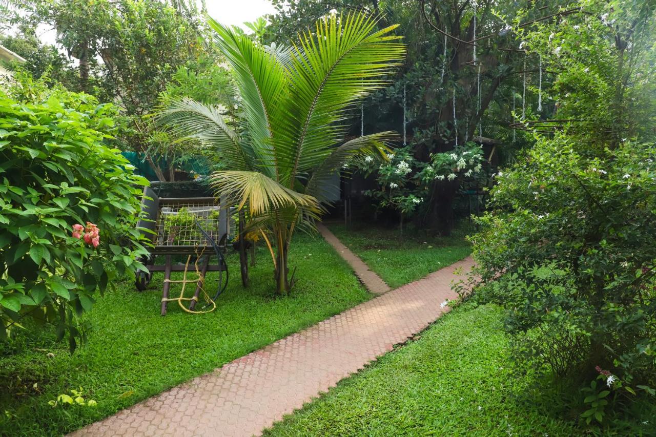 Sanidhya Beach Resort Алибаг Экстерьер фото